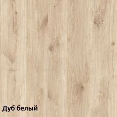 Эйп Шкаф комбинированный 13.14 в Новоуральске - novouralsk.mebel24.online | фото 4