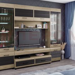 Гостиная Камелия Композиция 11 (Гикори Джексон светлый комбинированный) в Новоуральске - novouralsk.mebel24.online | фото