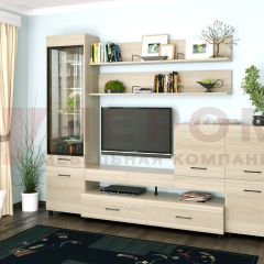 Гостиная Камелия Композиция 5 (Ясень Асахи) в Новоуральске - novouralsk.mebel24.online | фото