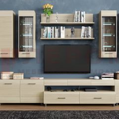 Гостиная Камелия Композиция 9 (Ясень Асахи) в Новоуральске - novouralsk.mebel24.online | фото