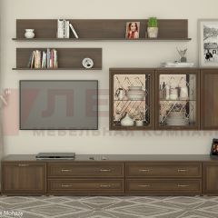 Гостиная Карина Композиция 10 (Акация Молдау) в Новоуральске - novouralsk.mebel24.online | фото