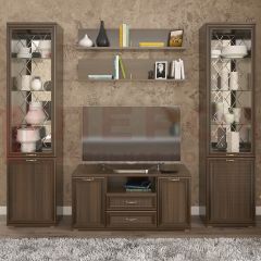 Гостиная Карина Композиция 13 (Акация Молдау) в Новоуральске - novouralsk.mebel24.online | фото