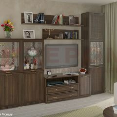 Гостиная Карина Композиция 22 (Акация Молдау) в Новоуральске - novouralsk.mebel24.online | фото
