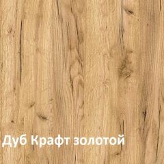Крафт Полка для обуви 15.63 в Новоуральске - novouralsk.mebel24.online | фото 3