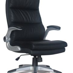Кресло офисное BRABIX "Fregat EX-510" (рециклированная кожа, черное) 530863 в Новоуральске - novouralsk.mebel24.online | фото