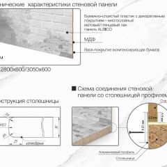 Кухонный фартук со столешницей (А-01) в едином стиле (3050 мм) в Новоуральске - novouralsk.mebel24.online | фото 7