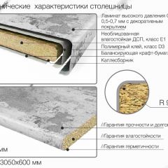 Кухонный фартук со столешницей (А-02) в едином стиле (3050 мм) в Новоуральске - novouralsk.mebel24.online | фото 6