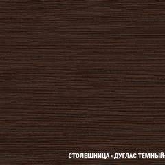 Кухонный гарнитур Полина стандарт 1600 в Новоуральске - novouralsk.mebel24.online | фото 12