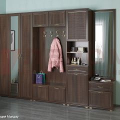 Прихожая Карина композиция 6 (Акация Молдау) в Новоуральске - novouralsk.mebel24.online | фото