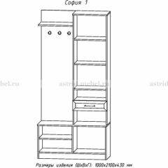 Прихожая София 1 в Новоуральске - novouralsk.mebel24.online | фото 3