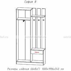 Прихожая София 8 в Новоуральске - novouralsk.mebel24.online | фото 2