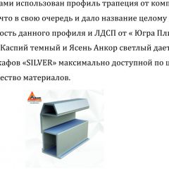 Шкаф-купе 1300 серии SILVER S4+S3Z+B2+PL1 (2 ящика+1 штанга) профиль «Серебро» в Новоуральске - novouralsk.mebel24.online | фото 6