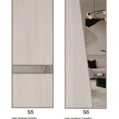 Шкаф-купе 1300 серии SILVER S4+S3Z+B2+PL1 (2 ящика+1 штанга) профиль «Серебро» в Новоуральске - novouralsk.mebel24.online | фото 11