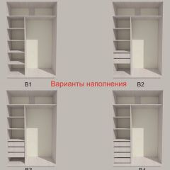 Шкаф-купе 1500 серии SILVER S3+S4+B2+PL4 (2 ящика+F обр.штанга) профиль «Серебро» в Новоуральске - novouralsk.mebel24.online | фото 5