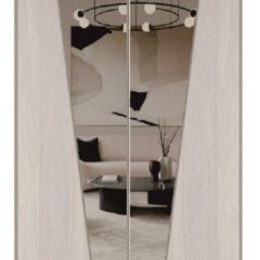 Шкаф-купе 1700 серии SILVER S1+S1+B2+PL2 (2 ящика+1 штанга+1 полка) профиль «Серебро» в Новоуральске - novouralsk.mebel24.online | фото 12