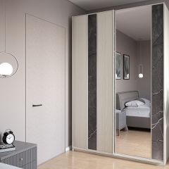 Шкаф-купе 1700 серии SILVER S4+S3Z+B2+PL1 (2 ящика+1 штанга) профиль «Серебро» в Новоуральске - novouralsk.mebel24.online | фото