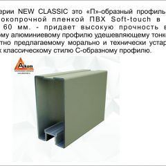 Шкаф-купе 2450 серии NEW CLASSIC K6Z+K1+K6+B22+PL1 (по 2 ящика лев/прав+1 штанга) профиль «Капучино» в Новоуральске - novouralsk.mebel24.online | фото 17