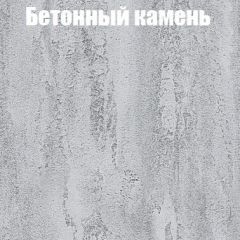 Шкаф-купе Бассо 1.0 (Дуб Крафт серый/Бетонный камень) 2 двери ЛДСП 1 зеркальная вставка в Новоуральске - novouralsk.mebel24.online | фото 3