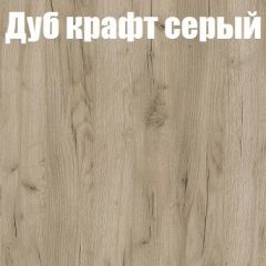 Шкаф-купе Бассо 1.0 (Дуб Крафт серый/Бетонный камень) 2 двери ЛДСП 1 зеркальная вставка в Новоуральске - novouralsk.mebel24.online | фото 4