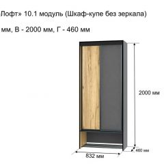 ОЛЬГА-ЛОФТ 10.1 Шкаф-купе без зеркала в Новоуральске - novouralsk.mebel24.online | фото 3