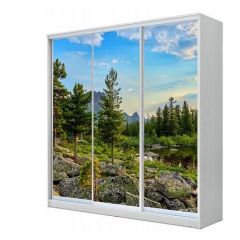 Шкаф-купе ХИТ 22-18/2-777 (620) в Новоуральске - novouralsk.mebel24.online | фото