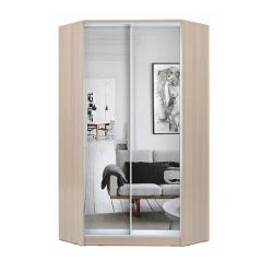 Шкаф-купе ХИТ-У-L-22-64-55 в Новоуральске - novouralsk.mebel24.online | фото 8
