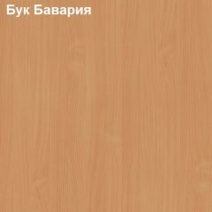 Тумба выкатная на 3 ящика Логика Л-12.1.2 с замком на 3 ящика в Новоуральске - novouralsk.mebel24.online | фото 2