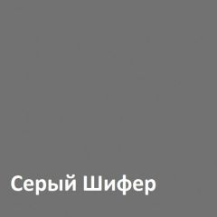 Юнона Шкаф торцевой 13.221 в Новоуральске - novouralsk.mebel24.online | фото 2