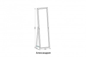 АЛЕКСАНДРИЯ-9.1 Зеркало напольное в Новоуральске - novouralsk.mebel24.online | фото 2