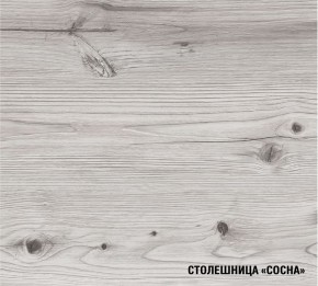 АСАЯ Кухонный гарнитур Экстра (3000 мм) в Новоуральске - novouralsk.mebel24.online | фото 8