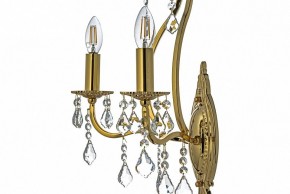 Бра Arti Lampadari Ercolano Ercolano E 2.1.2.602 G в Новоуральске - novouralsk.mebel24.online | фото 6