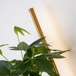 Бра Favourite Greenery 4050-1W в Новоуральске - novouralsk.mebel24.online | фото 10
