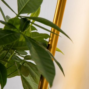 Бра Favourite Greenery 4050-1W в Новоуральске - novouralsk.mebel24.online | фото 11