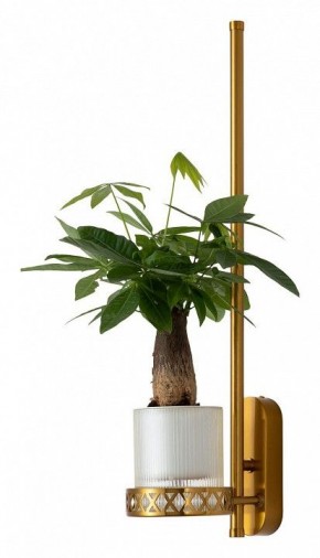 Бра Favourite Greenery 4050-1W в Новоуральске - novouralsk.mebel24.online | фото 4