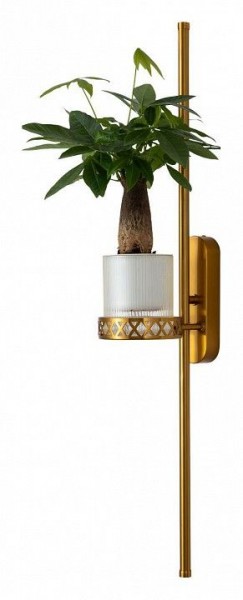 Бра Favourite Greenery 4050-2W в Новоуральске - novouralsk.mebel24.online | фото 11