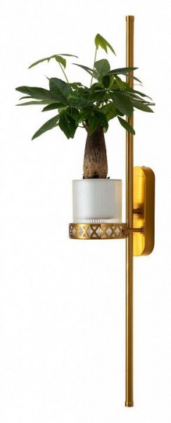 Бра Favourite Greenery 4050-2W в Новоуральске - novouralsk.mebel24.online | фото 3