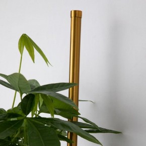 Бра Favourite Greenery 4050-2W в Новоуральске - novouralsk.mebel24.online | фото 8