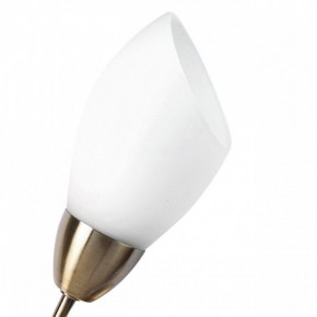 Бра MW-Light Нежность 7 356023001 в Новоуральске - novouralsk.mebel24.online | фото 2
