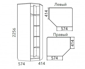 Детская Фанк Шкаф угловой Левый/Правый НМ 013.04-02 М в Новоуральске - novouralsk.mebel24.online | фото 3