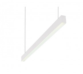 DK9124-WH Линейный светильник 30W 1250mm 4000K, белый в Новоуральске - novouralsk.mebel24.online | фото 1