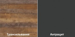 Кухонный гарнитур угловой Трансильвания 2600х1600 мм (Стол. 26 мм) в Новоуральске - novouralsk.mebel24.online | фото 3