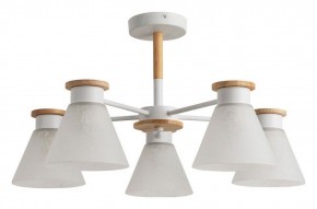 Люстра на штанге Arte Lamp Tyler A1031PL-5WH в Новоуральске - novouralsk.mebel24.online | фото 4