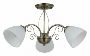 Люстра на штанге Rivoli Sue Б0060985 в Новоуральске - novouralsk.mebel24.online | фото