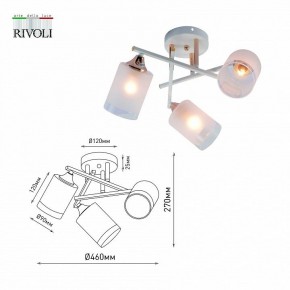 Люстра на штанге Rivoli Tammy Б0059258 в Новоуральске - novouralsk.mebel24.online | фото