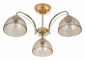 Люстра на штанге Rivoli Terri Б0060988 в Новоуральске - novouralsk.mebel24.online | фото 2