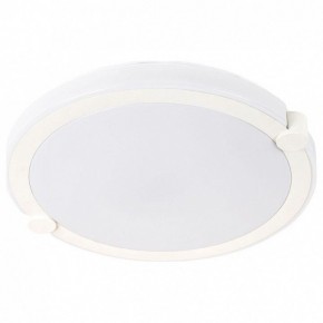 Накладной светильник Arte Lamp Biscotti A2679PL-72WH в Новоуральске - novouralsk.mebel24.online | фото