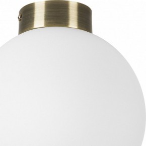 Накладной светильник Lightstar Globo 812021 в Новоуральске - novouralsk.mebel24.online | фото 3
