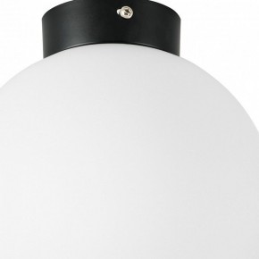 Накладной светильник Lightstar Globo 812027 в Новоуральске - novouralsk.mebel24.online | фото 2
