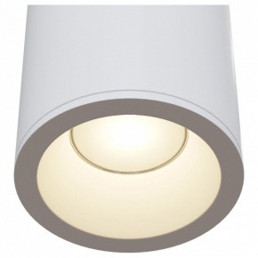 Накладной светильник Maytoni Zoom C029CL-01W в Новоуральске - novouralsk.mebel24.online | фото 4