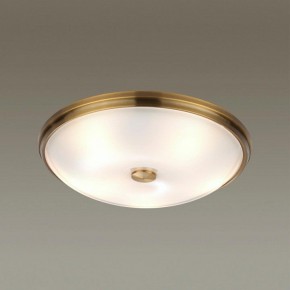 Накладной светильник Odeon Light Pelow 4956/5 в Новоуральске - novouralsk.mebel24.online | фото 2